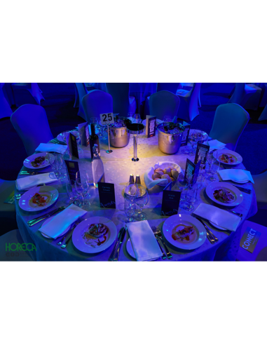 Moduł DMX do lampki stołowej Tabled Moduł DMX do lampki stołowej Tabled